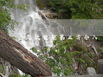 欠款逾期第三方介入說(shuō)要上門(mén)