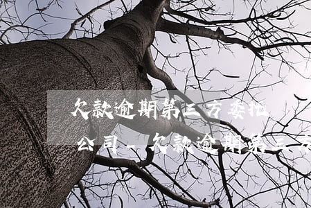 欠款逾期第三方委托資產(chǎn)評估公司-欠款逾期第三方委托資產(chǎn)評估公司有責任嗎