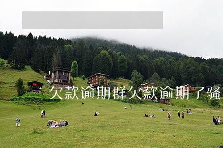 欠款逾期群(欠款逾期了骚扰怎么办)