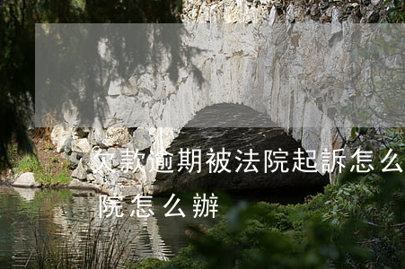 欠款逾期被法院起訴怎么辦(逾期了起訴到法院怎么辦)