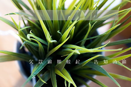 欠款逾期被起訴告知函(逾期欠款通告函是什么)
