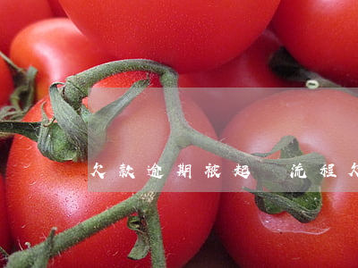 欠款逾期被起訴流程(欠款逾期被起訴怎么辦)