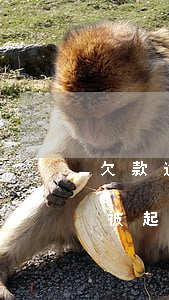 欠款逾期被起訴的流程是怎么樣的-逾期后被起訴流程