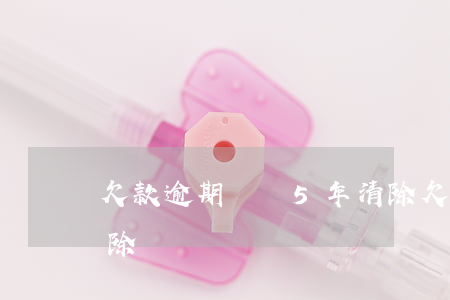 欠款逾期記錄5年清除(欠款逾期記錄5年清除)