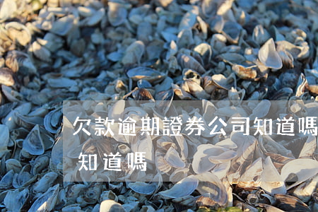 欠款逾期證券公司知道嗎(欠款逾期證券公司知道嗎)