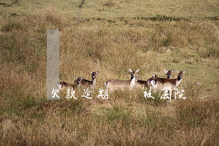 欠款逾期賬戶被法院凍結(jié)了
