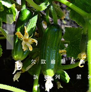欠款逾期起訴后會直接上黑名單嗎(欠錢被起訴被列入黑名單,有什么后果)