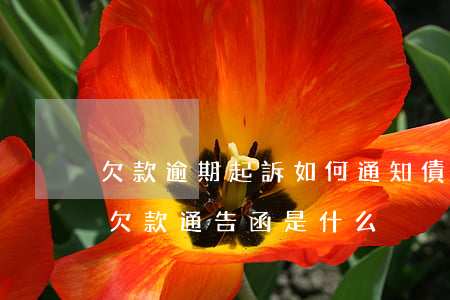 欠款逾期起訴如何通知債務(wù)人(逾期欠款通告函是什么)