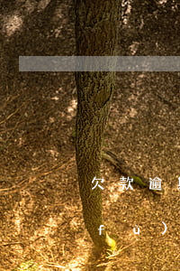 欠款逾期起訴應(yīng)該是哪里負(fù)責(zé)起訴-欠款逾期起訴應(yīng)該是哪里負(fù)責(zé)起訴的