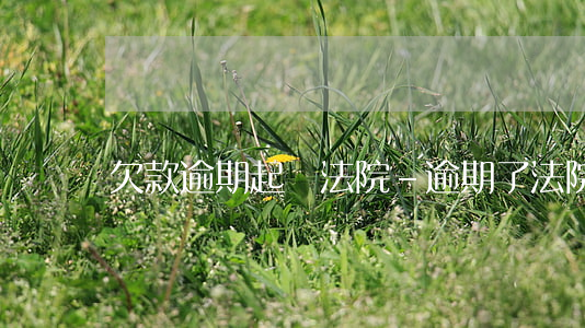 欠款逾期起訴法院-逾期了法院起訴