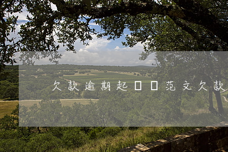 欠款逾期起訴狀范文(欠款的民事起訴狀范文)