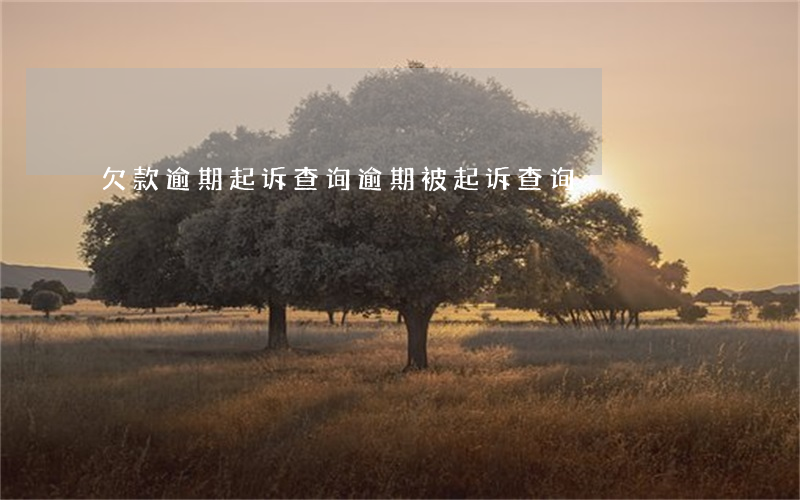 欠款逾期起诉查询 逾期被起诉查询