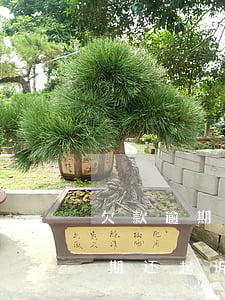欠款逾期还起诉还要承担两万罚金-欠款逾期还起诉还要承担两万罚金吗