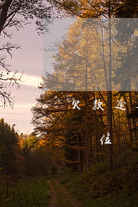 欠款逾期通報工作單位是否違法-逾期通知單位