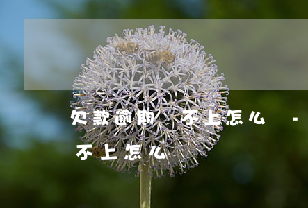 欠款逾期還不上怎么辦-信用卡欠款逾期還不上怎么辦