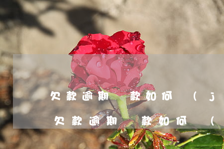 欠款逾期還款如何計(jì)算利息公式-欠款逾期還款如何計(jì)算利息公式呢