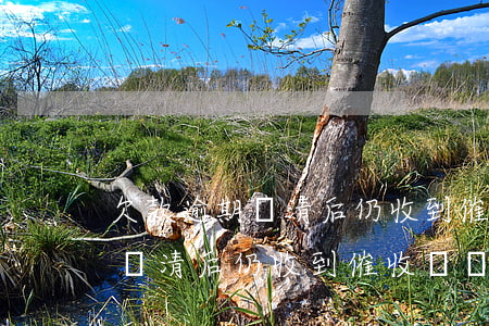 欠款逾期還清后仍收到催收電話-欠款逾期還清后仍收到催收電話怎么辦