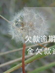 欠款逾期還起訴還要承擔(dān)兩萬罰金(欠款逾期違法嗎)