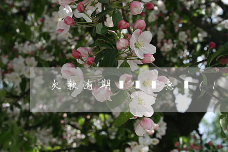 欠款逾期騷擾緊急聯(lián)系人