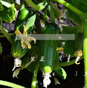 欠正規(guī)網(wǎng)貸不還會(huì)怎么樣(網(wǎng)貸欠款不還會(huì)怎么樣)