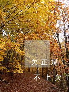 欠正規(guī)網(wǎng)貸平臺還不上(欠正規(guī)網(wǎng)貸平臺還不上怎么辦)