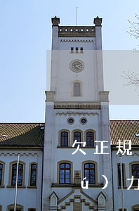 欠正規(guī)網(wǎng)貸無(wú)力償還會(huì)怎么樣(網(wǎng)貸無(wú)力償還怎么辦)