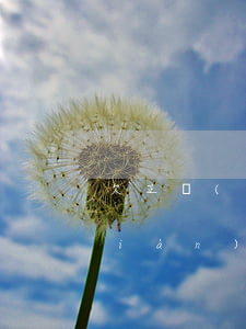 欠正規(guī)網(wǎng)貸現(xiàn)在還不上了怎么辦(正規(guī)網(wǎng)貸暫時(shí)還不上怎么辦)