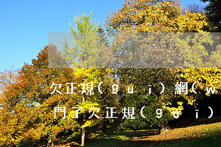 欠正規(guī)網(wǎng)貸警察上門了(欠正規(guī)網(wǎng)貸警察上門了)