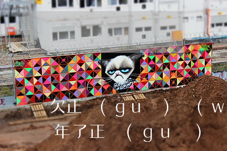 欠正規(guī)網(wǎng)貸逾期幾年了(正規(guī)網(wǎng)貸逾期多久會(huì)被起訴)