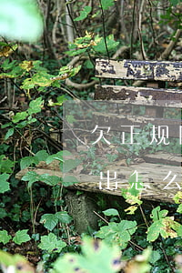 欠正规网贷还不起怎么办(欠了正规网贷还不出怎么办)