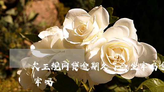 欠正规网贷逾期久了会坐牢吗(逾期网贷会坐牢吗)