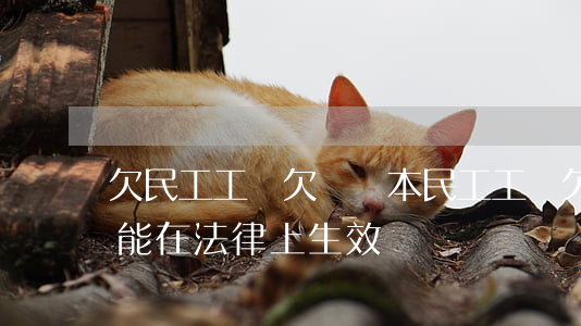 欠民工工資欠條樣本(民工工資欠條怎么寫才能在法律上生效)