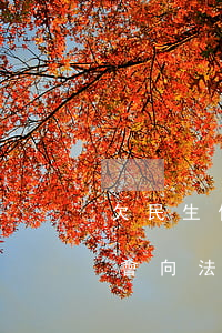 欠民生信用卡1.5萬(欠民生信用卡一萬多會向法院起訴嗎)