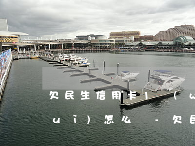 欠民生信用卡1萬(wàn)元不還會(huì)怎么樣-欠民生信用卡1萬(wàn)元不還會(huì)怎么樣呢