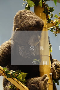 欠民生信用卡1萬逾期1年半要起訴我（民生信用卡逾期說要起訴怎么辦）