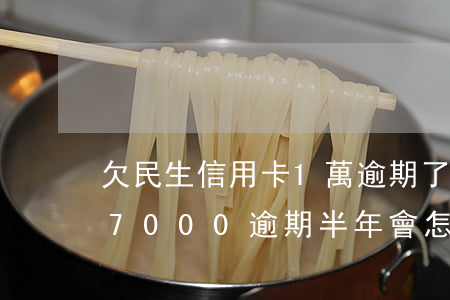 欠民生信用卡1萬逾期了咋辦-民生信用卡7000逾期半年會怎么辦