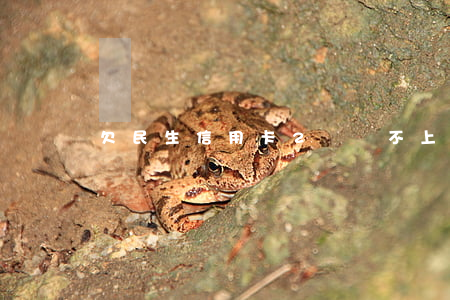 欠民生信用卡2萬還不上怎么辦-