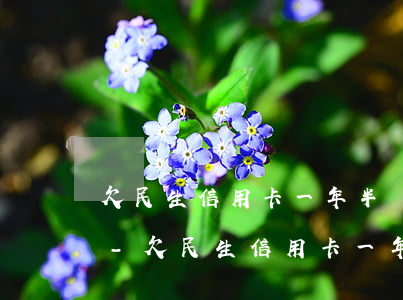 欠民生信用卡一年半沒(méi)還怎么辦-欠民生信用卡一年半沒(méi)還怎么辦呢