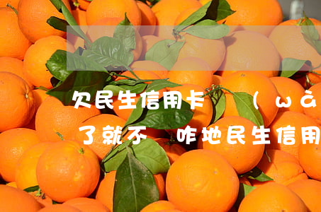 欠民生信用卡兩萬(wàn)多 逾期一年多了 就不還咋地（民生信用卡欠了6年）