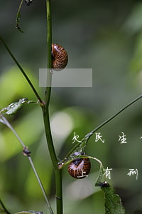 欠民生信用卡十幾萬-欠民生信用卡5萬以上有刑事責(zé)任嗎