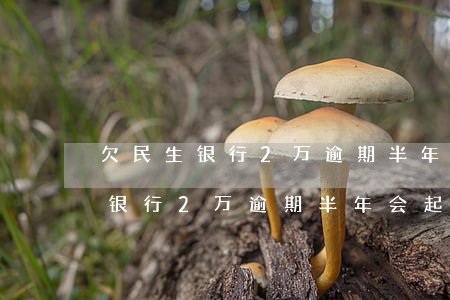 欠民生银行2万逾期半年会起诉吗-欠民生银行2万逾期半年会起诉吗知乎