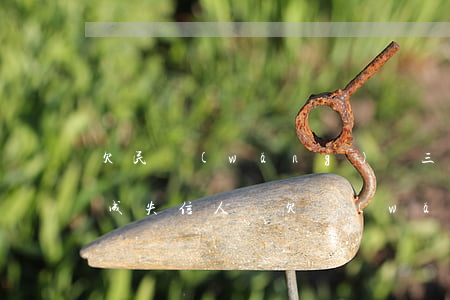 欠民網(wǎng)貸三千元會(huì)成失信人嗎(欠網(wǎng)貸不還算失信人員嗎)