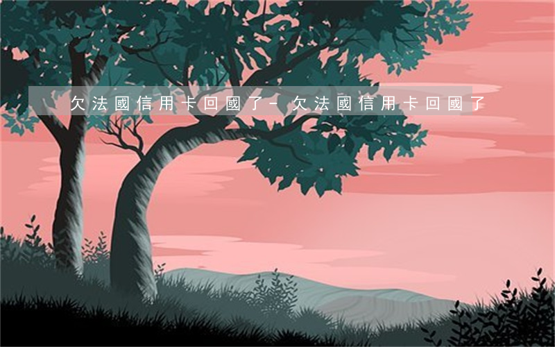 欠法國信用卡回國了-欠法國信用卡回國了