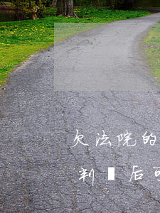 欠法院的錢(qián)可以分期還嗎(欠款判決后可以分期還嗎)