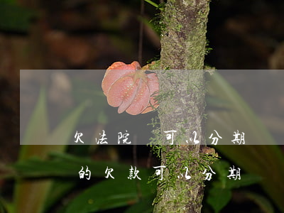 欠法院錢可以分期還嗎(法院執(zhí)行的欠款可以分期還嗎)