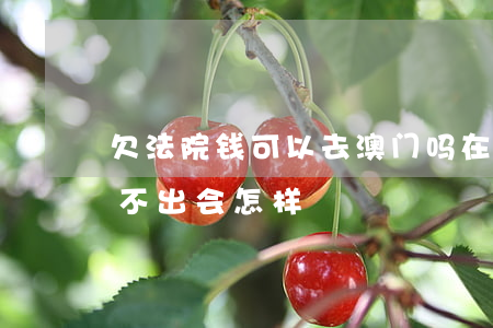 欠法院钱可以去澳门吗(在澳门赌场欠了钱还不出会怎样?)