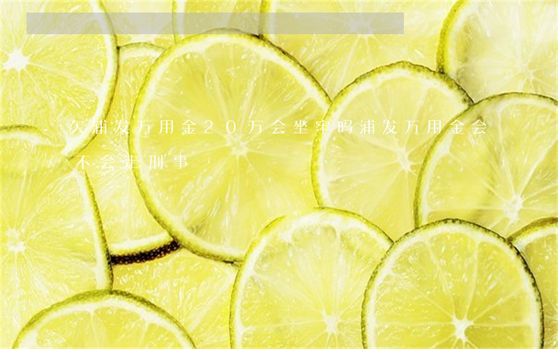 欠浦发万用金20万会坐牢吗(浦发万用金会不会走刑事)