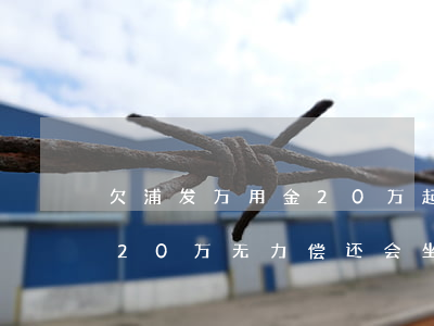 欠浦发万用金20万起诉后果(欠浦发万用金20万无力偿还会坐牢吗?)