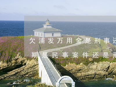 欠浦发万用金是刑事还是民事(浦发万用金逾期是民事案件还是刑事案件)
