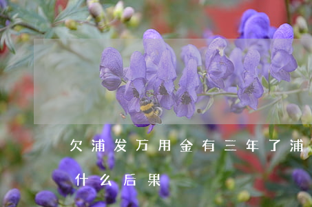 欠浦发万用金有三年了(浦发万用金不还会有什么后果)